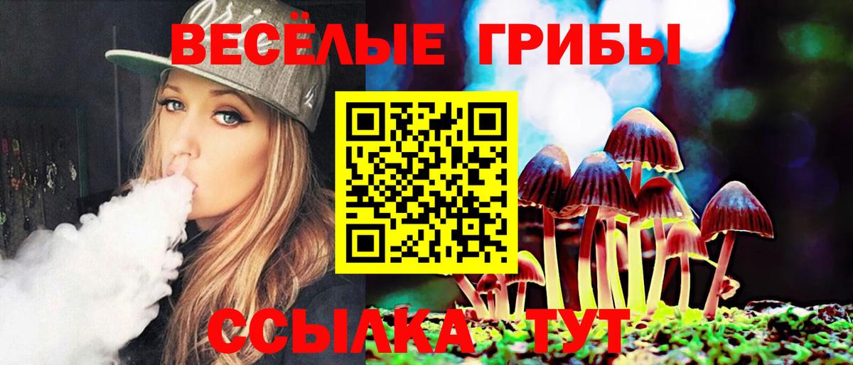 Галлюциногенные грибы GOLDEN TEACHER Тавда