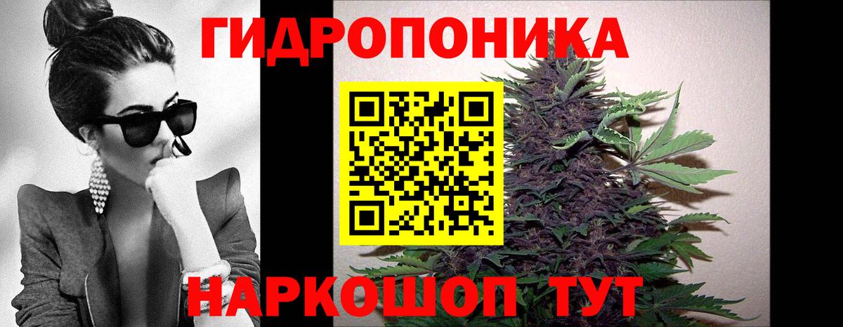 Конопля индика  Вход с VPN  Бошки Шишки MAZAR  МАРИХУАНА сатива  Тавда 